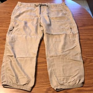 Ann Taylor Loft Tan Capris Size 14